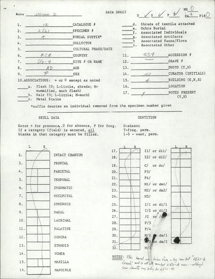 Documentation associated with Hearst Museum object titled Human remains, accession number 12-2821(0), described as The incomplete remains of a young adult male.