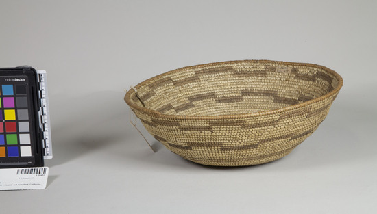 Hearst Museum object 2 of 3 titled Bowl basket, accession number 1-28451, described as Coiled basket, shallow bowl-shaped, 6 brown bands. Made with peeled shoots and Xerophyllum leaves.