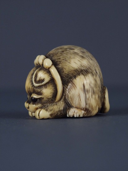 Hearst Museum object 2 of 4 titled Netsuke, accession number 9-7484, described as Netsuke: puppy with head between his paws. Wears ribbon collar. Notice: Image restricted due to its potentially sensitive nature. Contact Museum to request access.