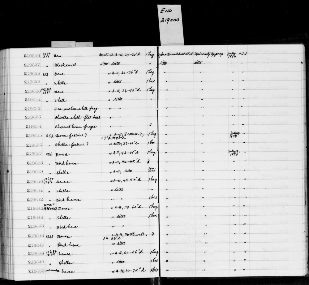 Documentation associated with Hearst Museum object titled Shell fragment, accession number 1-219632, described as Sea urchin shell fragment.