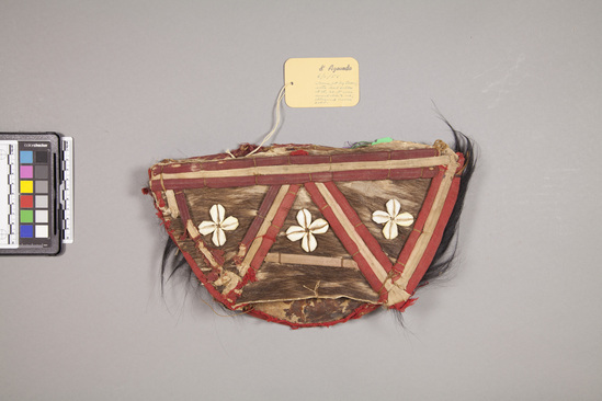 Hearst Museum object titled Animal hide hat with shell, accession number 5-5868, described as skull cap; monkey and deer skins s/trim of cloth-wrapped sticks and cowrie shell decorations; width flattened 31 cm