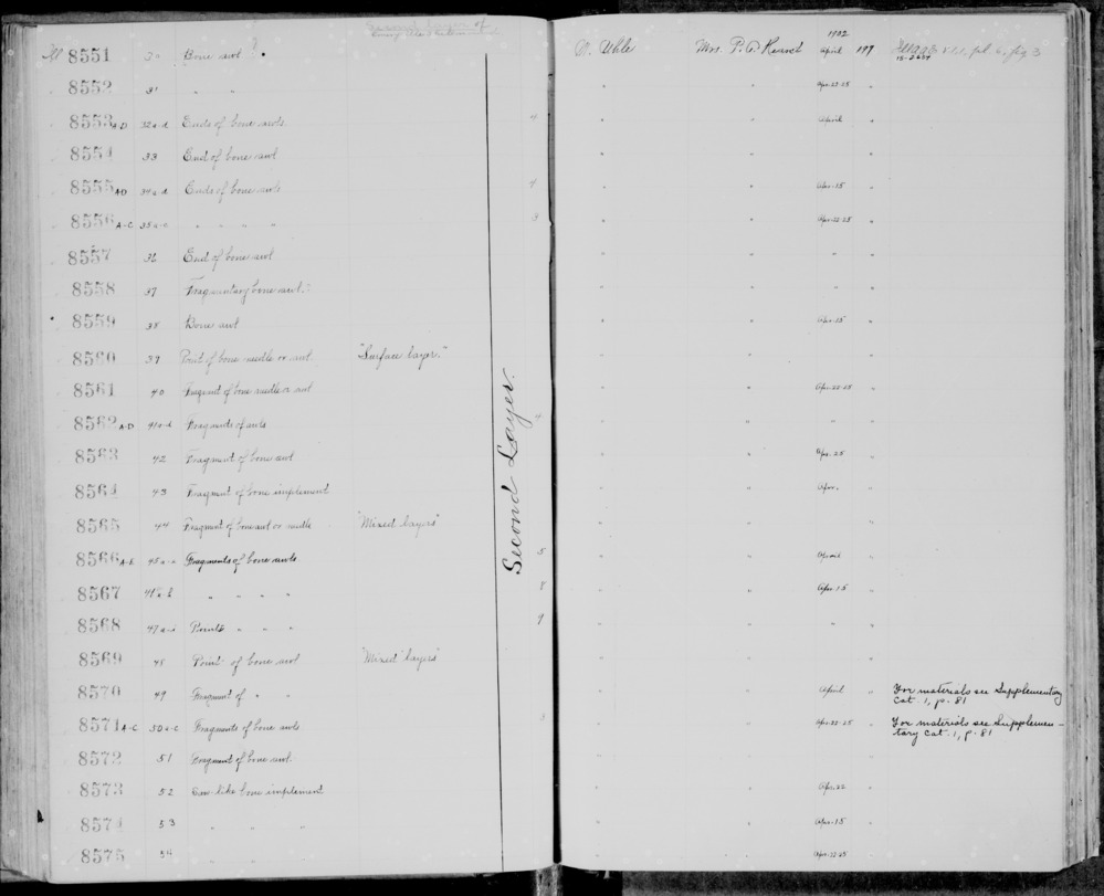 Documentation associated with Hearst Museum object titled Awl, accession number 1-8563, described as bone awl