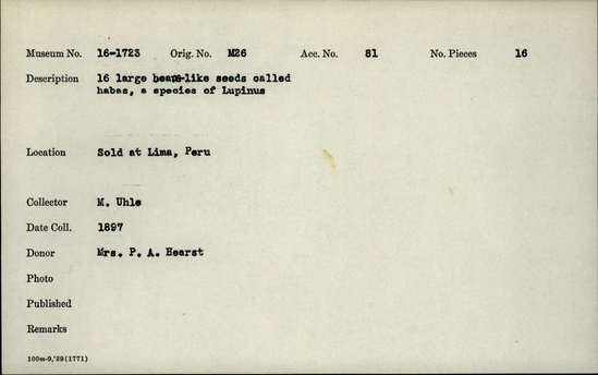 Documentation associated with Hearst Museum object titled Beans, accession number 16-1723, described as 16 large bean-like seeds called habas, a species of Lupinus