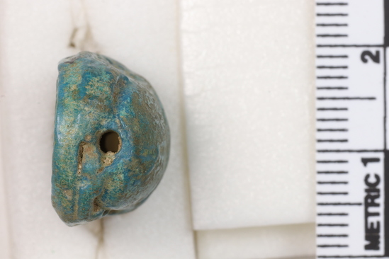 Hearst Museum object titled Scarab with inscription, accession number 6-19974, described as blue scarab with inscription from foundation deposits.