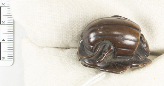 Hearst Museum object titled Netsuke, accession number 9-18858, described as Netsuke; Melon on vine, resting on leaf; rat peering out of open end of melon; H 2.6 cm X L 3.9 cm