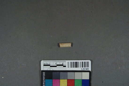 Hearst Museum object titled Ceramic pipe stem fragment, accession number 1-257485, described as No description given on catalog card