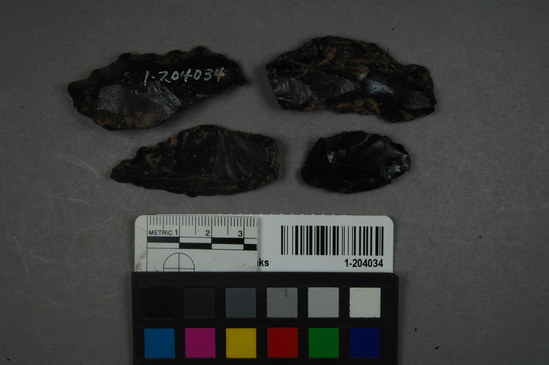 Hearst Museum object titled Projectile point blanks, accession number 1-204034, described as projectile point blanks (obsidian)