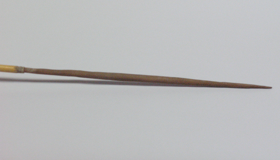 Hearst Museum object titled Arrow, accession number 16-377, described as Arrow, smooth hardwood point, cane shaft, feathers in poor condition.