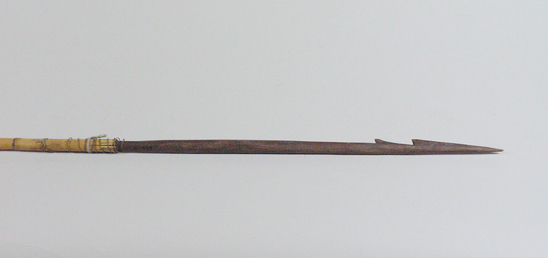 Hearst Museum object 1 of 2 titled Arrow, accession number 16-469, described as Arrow, barbed hardwood point, cane shaft, feathers in poor condition.