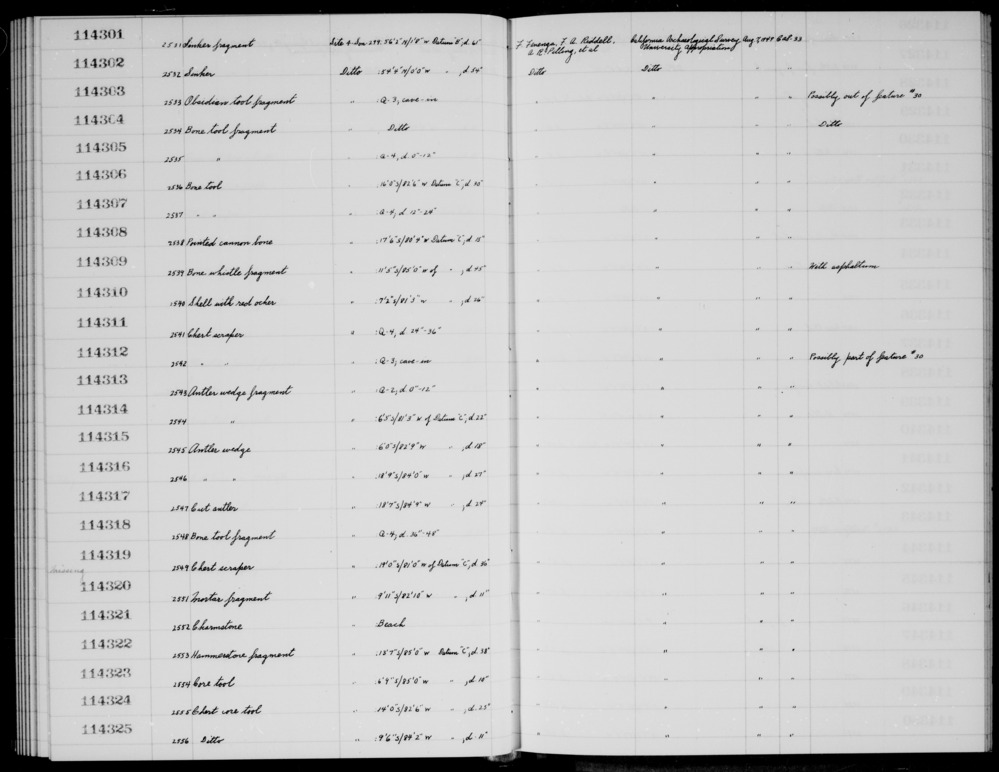 Documentation associated with Hearst Museum object titled Worked bone, accession number 1-114318, described as Bone.