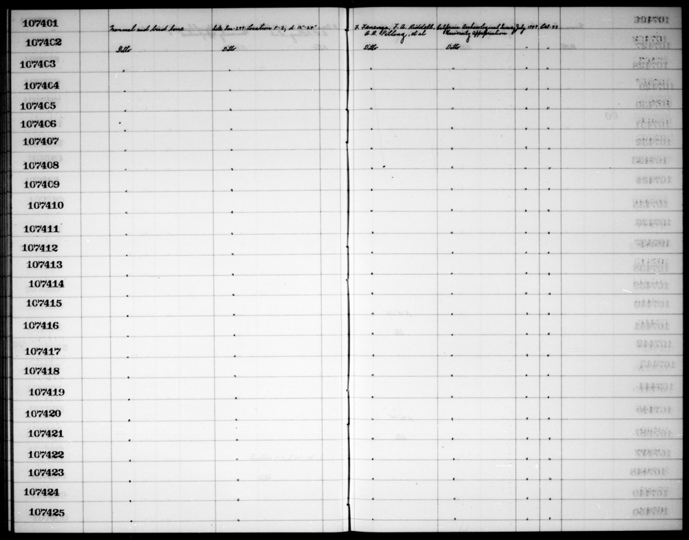 Documentation associated with Hearst Museum object titled Faunal remains, accession number 1-107410, described as Mammal and bird bone.