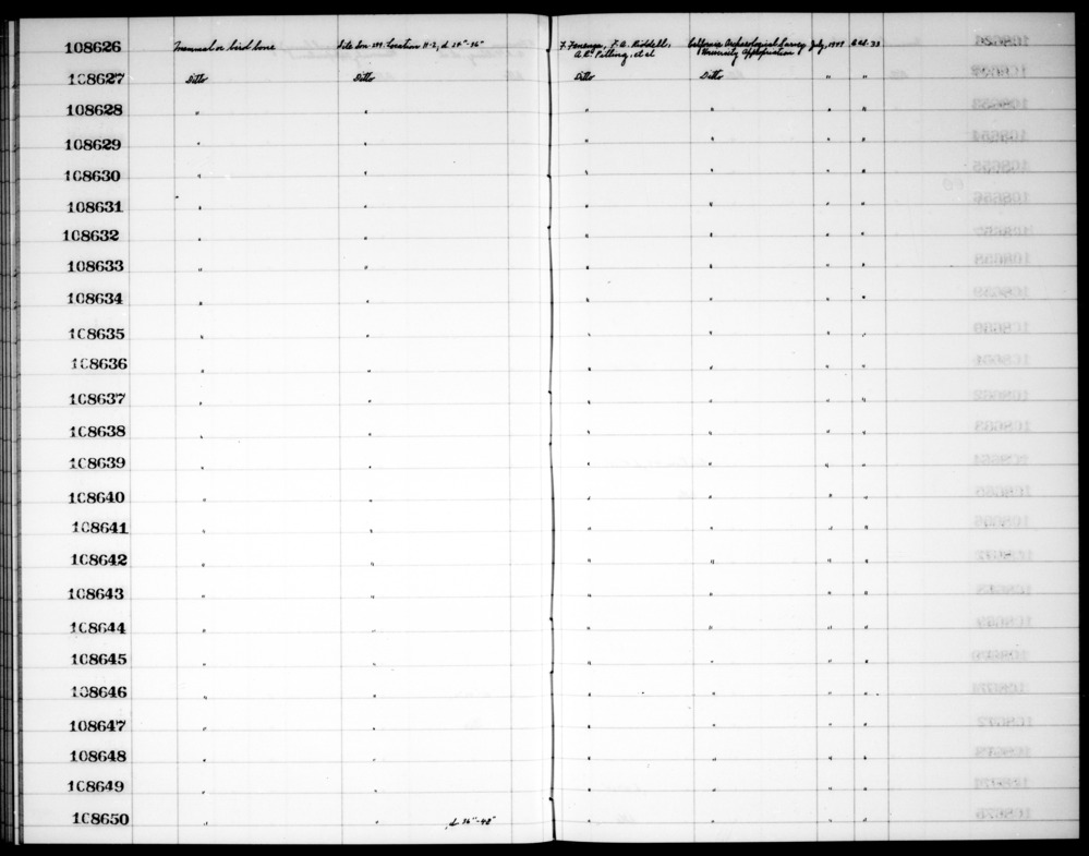 Documentation associated with Hearst Museum object titled Faunal remains, accession number 1-108646, described as Mammal or bird bone.