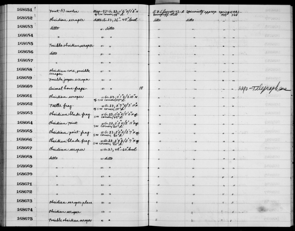 Documentation associated with Hearst Museum object titled Metatarsal frag, l, accession number 1-168660.1, no description available.