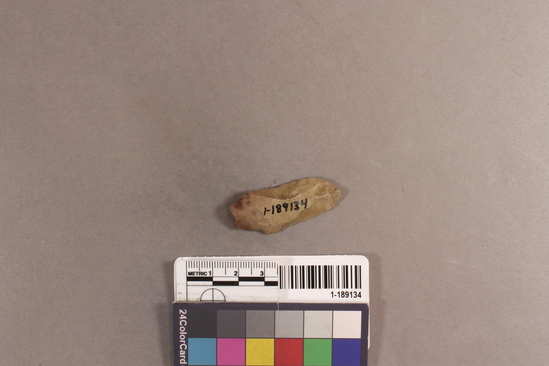 Hearst Museum object titled Projectile point blank, accession number 1-189134, described as chert projectile point blank; l. 4.5cm