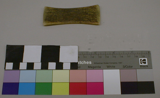 Hearst Museum object titled Mesh measure, accession number 1-2094, described as Elk antler, rectangular, constricted middle, flat.