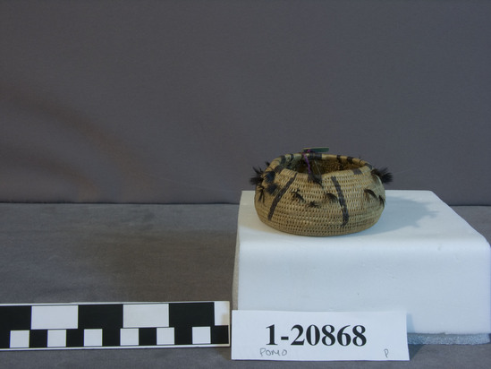 Hearst Museum object titled Basket, accession number 1-20868, described as Small single rod coiled basket. Weft is Sedge (Carex). Pattern is Sedge berk. Black designs and quail crests.  Second origin no. 317.