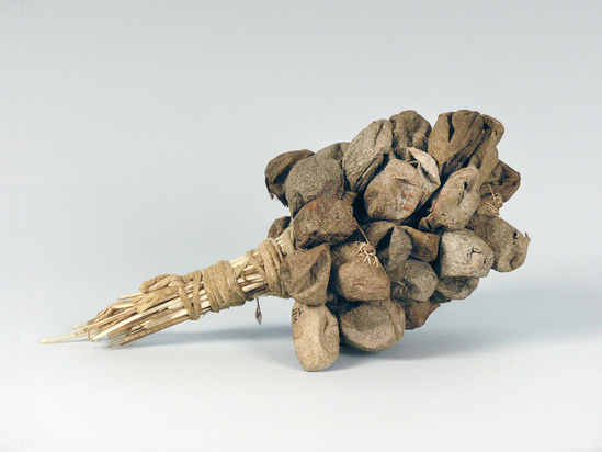 Hearst Museum object titled Rattle, accession number 1-2834, described as Cocoon. Cluster of cocoons of silk moth (Anthereae polyphemus, Cramer) attached to feather quills and bound together with cotton twine.