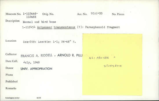 Documentation associated with Hearst Museum object titled Faunal remains, accession number 1-112476, described as Mammal and bird.