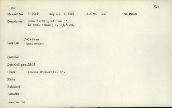 Documentation associated with Hearst Museum object titled Zoomorph, accession number 2-6065, described as Bone carving of row of 12 seal heads.