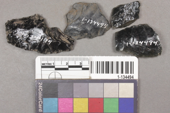 Hearst Museum object titled Point fragments, accession number 1-134494, described as Obsidian point fragments.