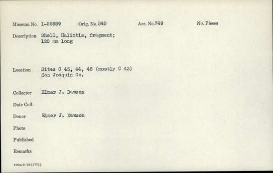 Documentation associated with Hearst Museum object titled Shell fragment, accession number 1-55659, described as Shell fragment, Haliotis; 120 mm long