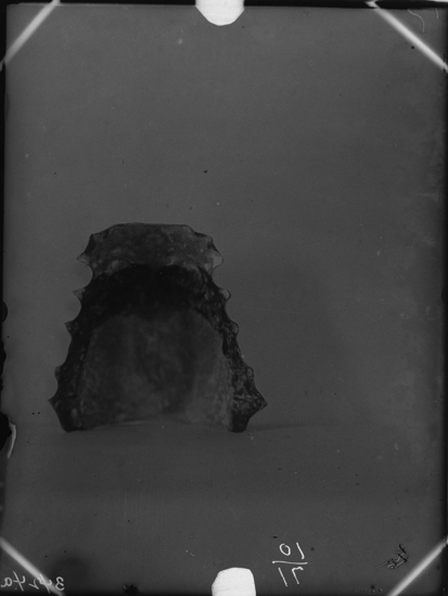 Hearst Museum object titled Black-and-white negative, accession number 15-3424, described as Palatogram no; toe