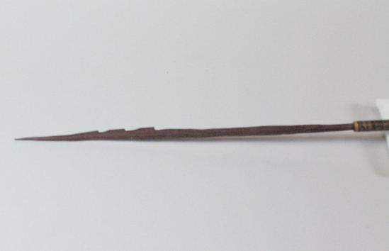 Hearst Museum object titled Arrow, accession number 16-505, described as Arrow, barbed hardwood point, cane shaft, feathers in poor condition