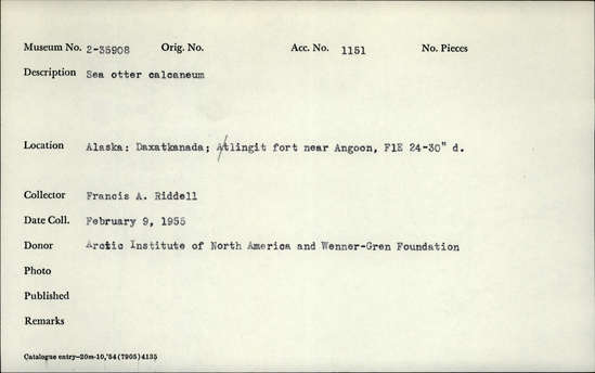 Documentation associated with Hearst Museum object titled Mammal bone, accession number 2-35908, described as Sea otter, calcaneum/calcaneus.