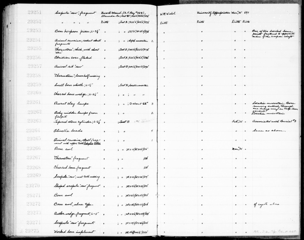 Documentation associated with Hearst Museum object titled Wedge, accession number 1-29260, described as Bone; charred.