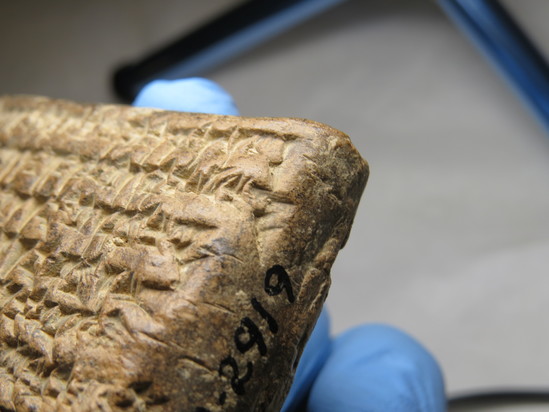 Hearst Museum object 24 of 187 titled Cuneiform tablet, accession number 9-2919, described as Mesopotamian cuneiform tablet