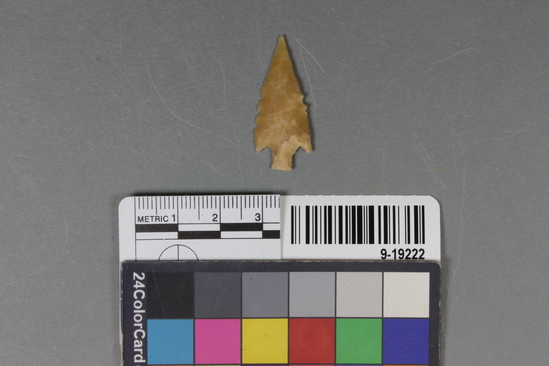 Hearst Museum object titled Point, accession number 9-19222, described as Biface point w/barbs, tang, basal notches; 3.3cm x 1. 4cm