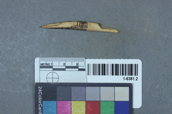 Hearst Museum object titled Fishhook, accession number 1-6381.2, described as Gifford Bone type T2bI.  Bone artifact, unidentified.