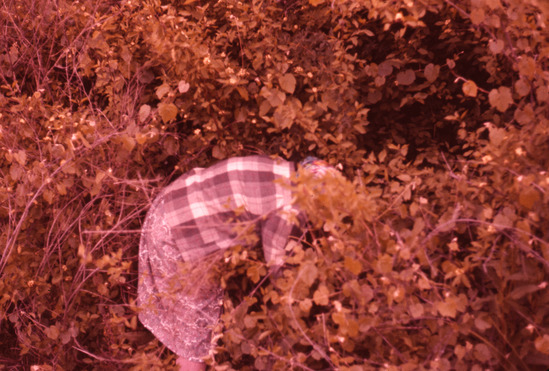 Hearst Museum object titled Color slide, accession number 25-5777, no description available.