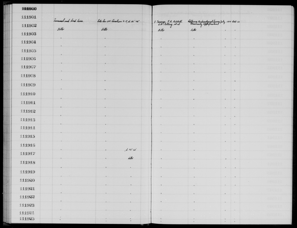 Documentation associated with Hearst Museum object titled Faunal remains, accession number 1-111909, described as Mammal and bird.