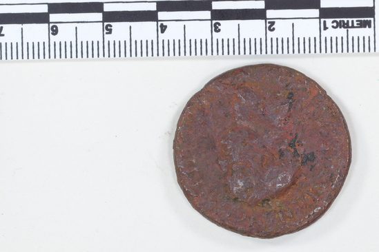 Hearst Museum object 6 of 8 titled Coin: æ sestertius, accession number 8-6040, described as Coin: Sestertius; Æ; Vespasian - 22.33 grams. Obverse: VESPASIAN AVG PM TRP ... head laureate facing right. Reverse: SC in field, figure walking right.