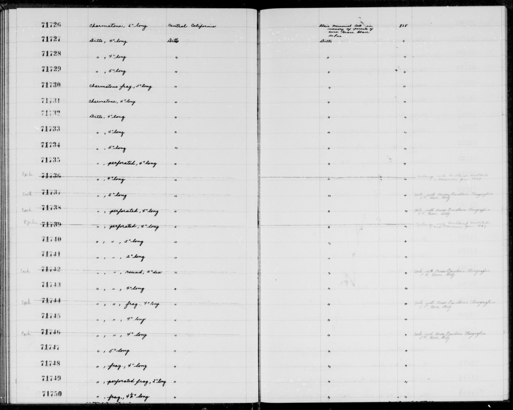 Documentation associated with Hearst Museum object titled Charmstone, accession number 1-71729, described as Charmstone.