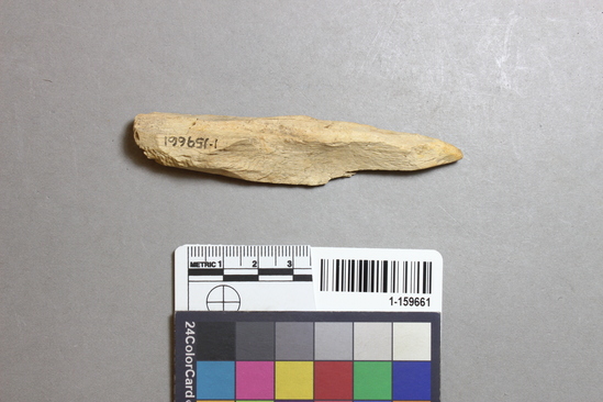 Hearst Museum object titled Worked bone, accession number 1-159661, described as Pointed, bone