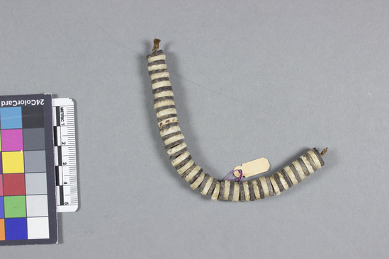 Hearst Museum object titled String of shell and seed beads, accession number 11-2644, described as String of alternate clam shell and coconut shell disc beads; L 5”.