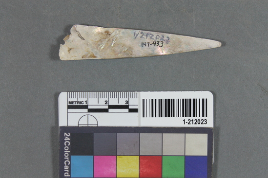 Hearst Museum object titled Shell fragment, accession number 1-212023, described as Triangular haliotis; one end perforated; broken or fragmentary.