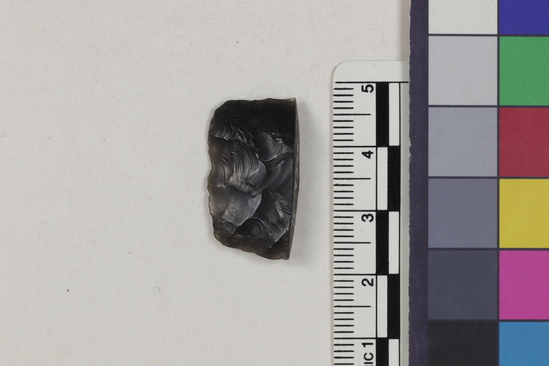 Hearst Museum object titled Projectile point fragment, accession number 16-14395, described as Projectile point fragment; obsidian; triangular; weight: 2.15 grams; length: 1.45 cm; width: 2.55 cm; depth: 0.5 cm; slight convex base.