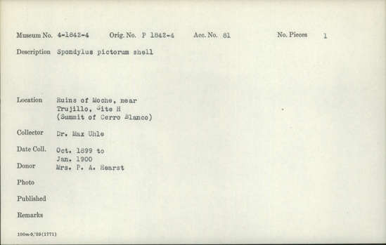 Documentation associated with Hearst Museum object titled Shell, accession number 4-1843, described as Spondylus pictorum shell.