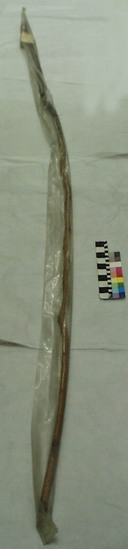 Hearst Museum object titled Throwing pole, accession number 1-10859, described as Long throwing pole.  For description of game see 10950.