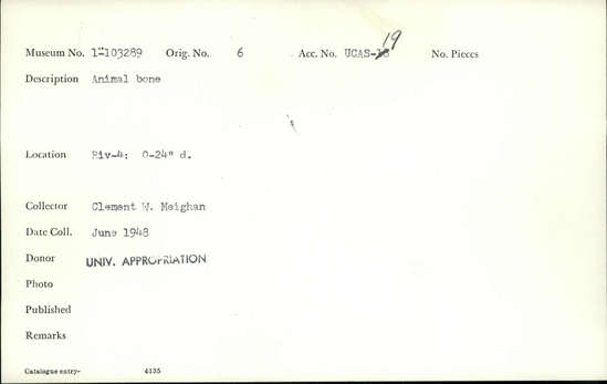 Documentation associated with Hearst Museum object titled Faunal remains, accession number 1-103289, described as Animal.