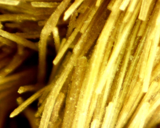 Hearst Museum object 3 of 72 titled Sling, accession number 4-5094, no description available.