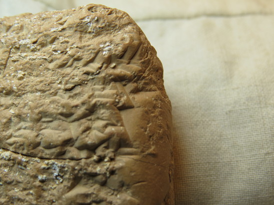 Hearst Museum object 41 of 132 titled Cuneiform tablet, accession number 9-2586, described as Neo-Babylonian Document from Erech