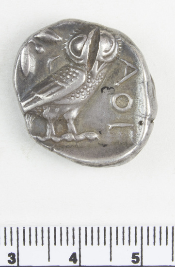 Hearst Museum object 3 of 10 titled Coin: tetradrachm, accession number 8-5299, described as Coin; AR; Tetradrachm; Greek. 500-430 BC. Athens, Greece. Obverse: bust of Athena r. laureate. Reverse: ΑθΕ, Owl; to left, olive branch.