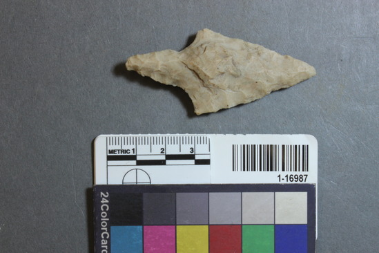 Hearst Museum object 13 of 28 titled Points, accession number 1-16987, described as Chipped points of flint, chert, etc.