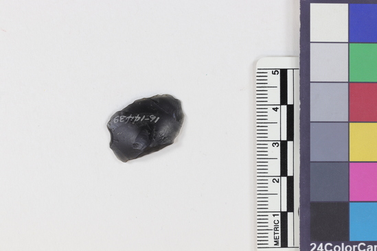 Hearst Museum object titled Flake, accession number 16-14439, described as Projectile point fragment; obsidian; triangular; weight: 1.3 grams; length: 2.25 cm; width: 1.57 cm; depth: 0.4 cm.