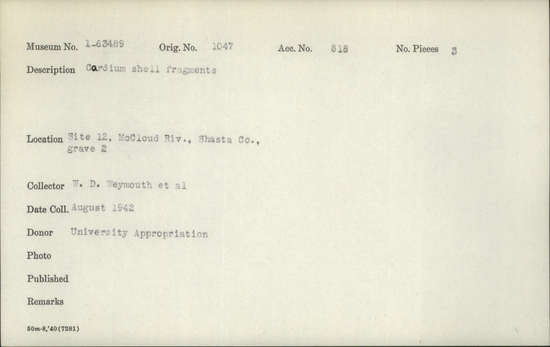 Documentation associated with Hearst Museum object titled Shell fragments, accession number 1-63489, described as Cordium
