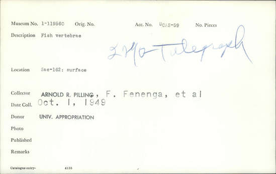 Documentation associated with Hearst Museum object titled Fish bone, accession number 1-119560, described as Fish vertebrae.